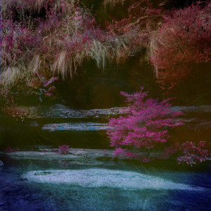 国产美女自慰在线观看
