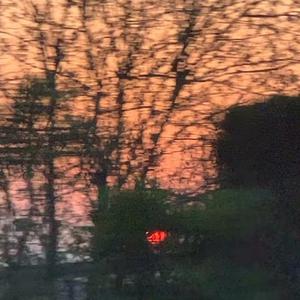 国产美女自慰在线观看
